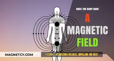 Exploring the Human Body's Intriguing Magnetic Field: Facts and Myths