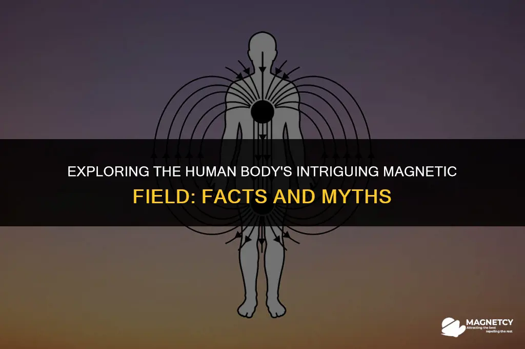 does the body have a magnetic field