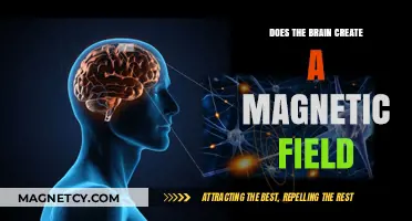 Exploring the Mind's Magnetism: Does Your Brain Generate a Magnetic Field?