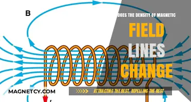 Exploring the Dynamics of Magnetic Field Line Density