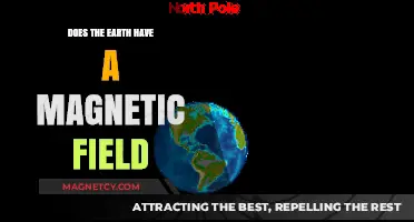 Exploring Earth's Invisible Shield: The Magnetic Field Mystery