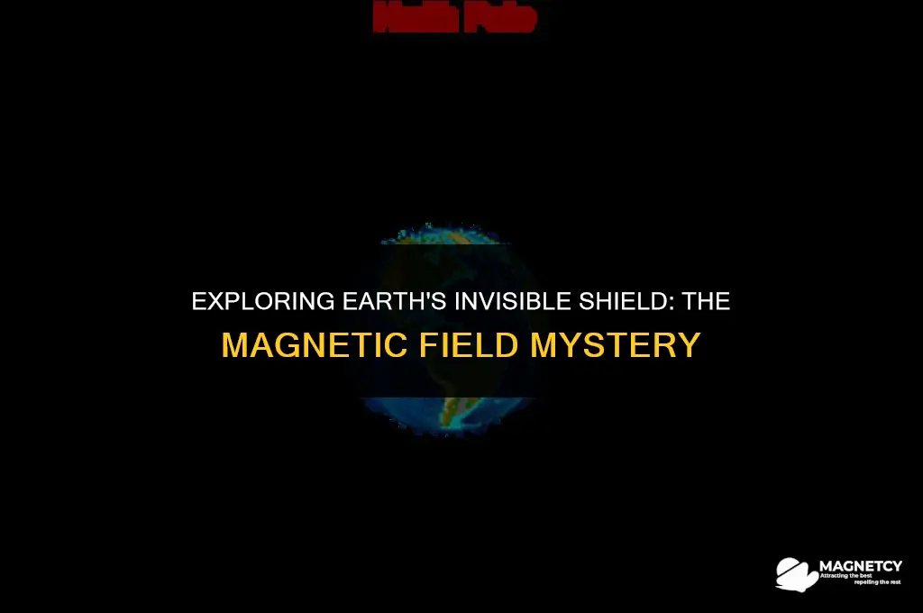 does the earth have a magnetic field