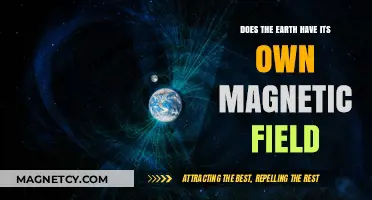 Exploring Earth's Invisible Shield: The Power of Our Planet's Magnetic Field