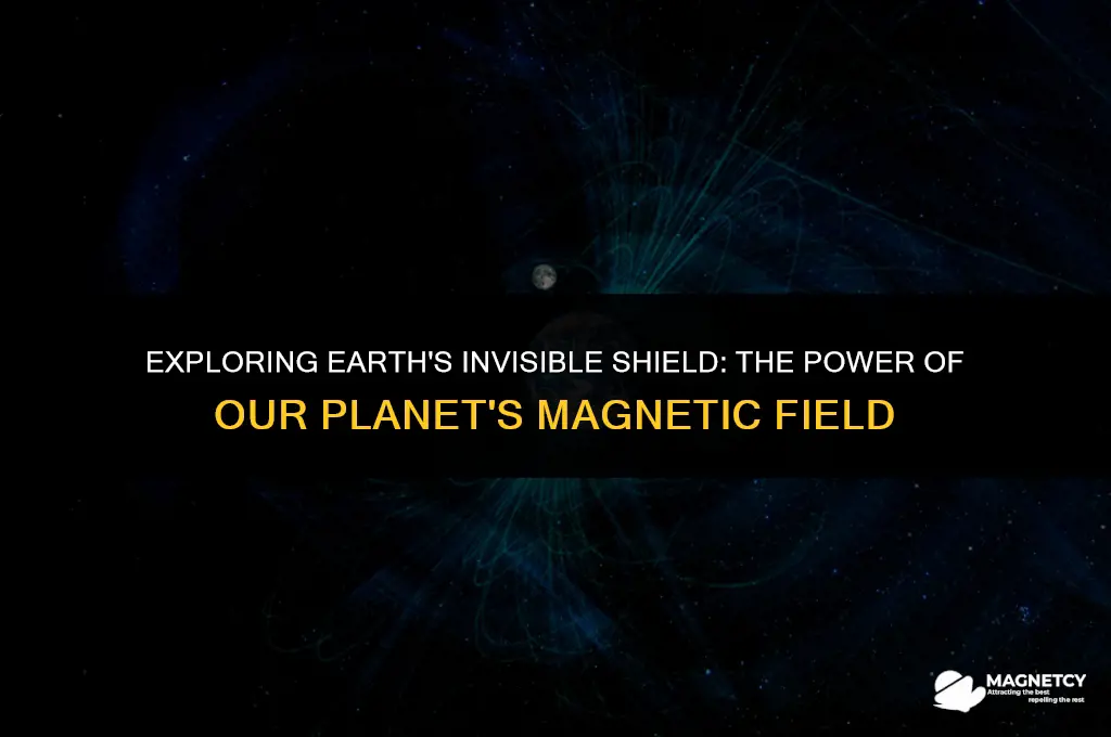 does the earth have its own magnetic field