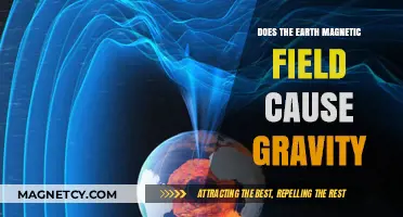 Exploring the Connection: Earth's Magnetic Field and Gravity