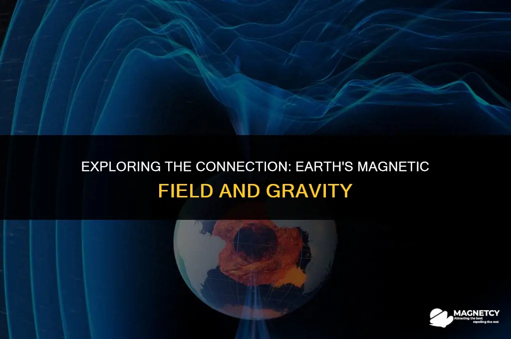 does the earth magnetic field cause gravity