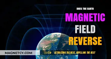 Exploring the Fascinating Phenomenon of Earth's Magnetic Field Reversals