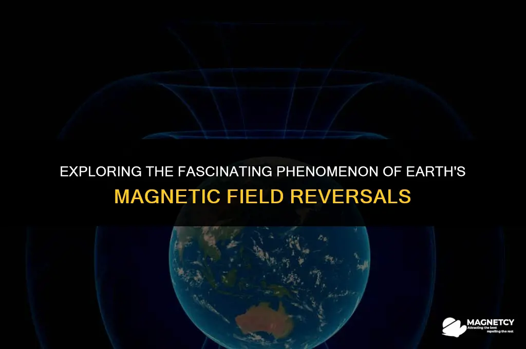 does the earth magnetic field reverse