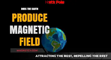 Unveiling the Earth's Invisible Force: The Magnetic Field Mystery