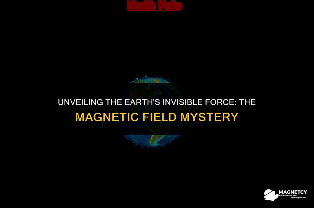does the earth produce magnetic field