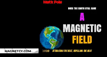 Exploring Earth's Magnetic Field: Does It Still Exist?