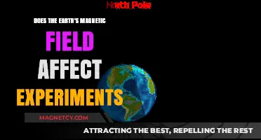 Exploring the Influence of Earth's Magnetic Field on Scientific Experiments