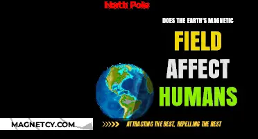 Exploring the Invisible Force: Earth's Magnetic Field and Human Connection