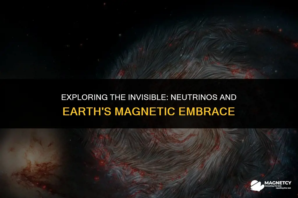 does the earth