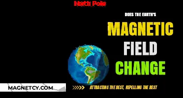 Shifting Shields: Understanding Earth's Dynamic Magnetic Field
