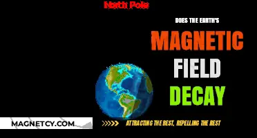 Exploring the Dynamics of Earth's Magnetic Field: Decay or Stability?