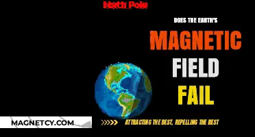 Exploring the Stability of Earth's Magnetic Field: A Scientific Inquiry