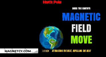 Exploring the Dynamics of Earth's Magnetic Field: Does It Move?