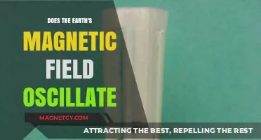 Exploring the Rhythmic Dance of Earth's Magnetic Field