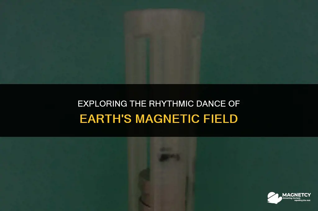 does the earth
