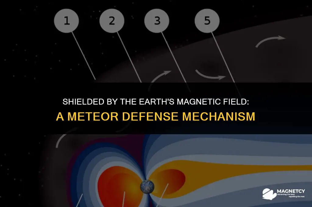 does the earth