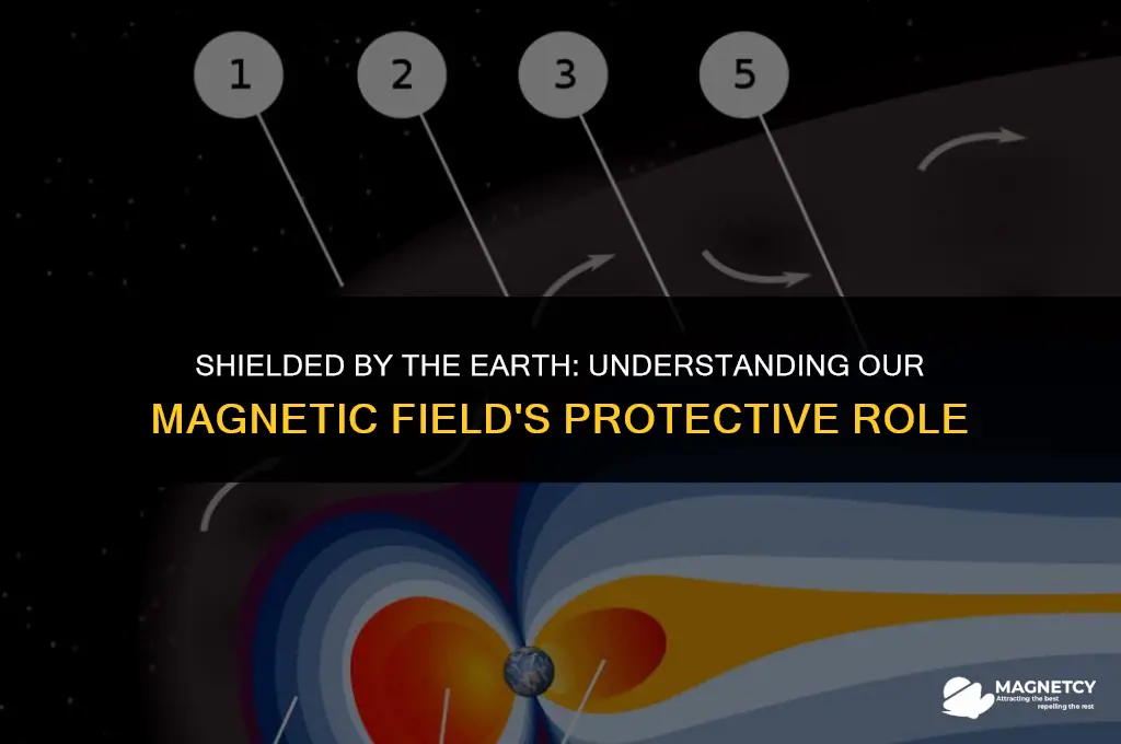 does the earth
