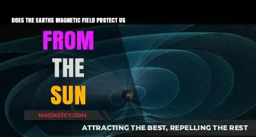 Shielded by the Earth's Magnetic Field: Our Protection Against Solar Threats