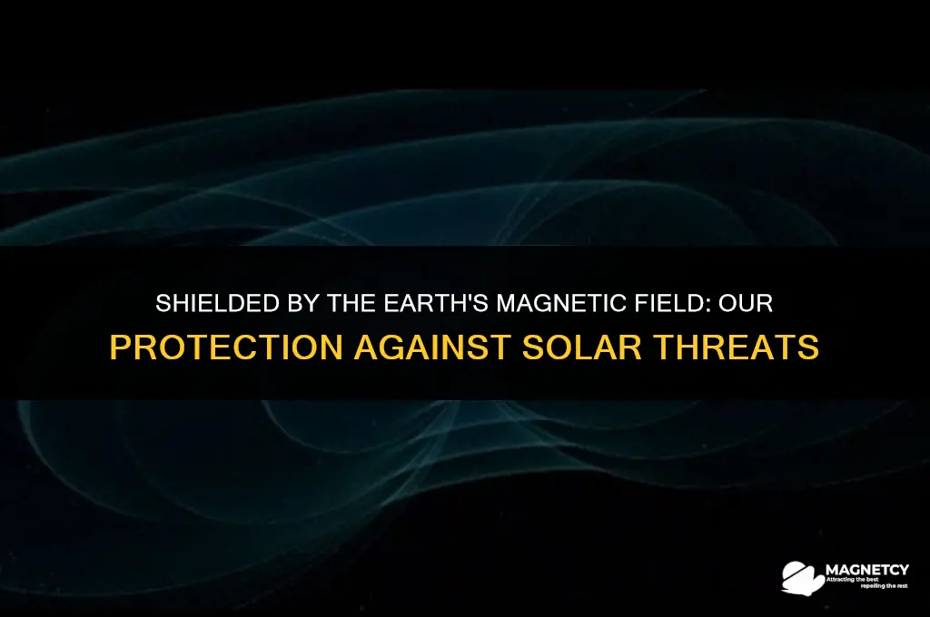 does the earths magnetic field protect us from the sun