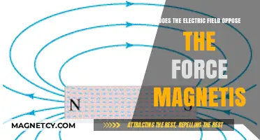 Exploring the Intricacies: Electric Fields vs. Magnetic Forces