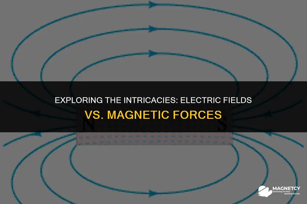 does the electric field oppose the force magnetism