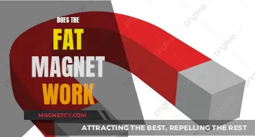 Exploring the Effectiveness of Fat Magnets: A Comprehensive Review