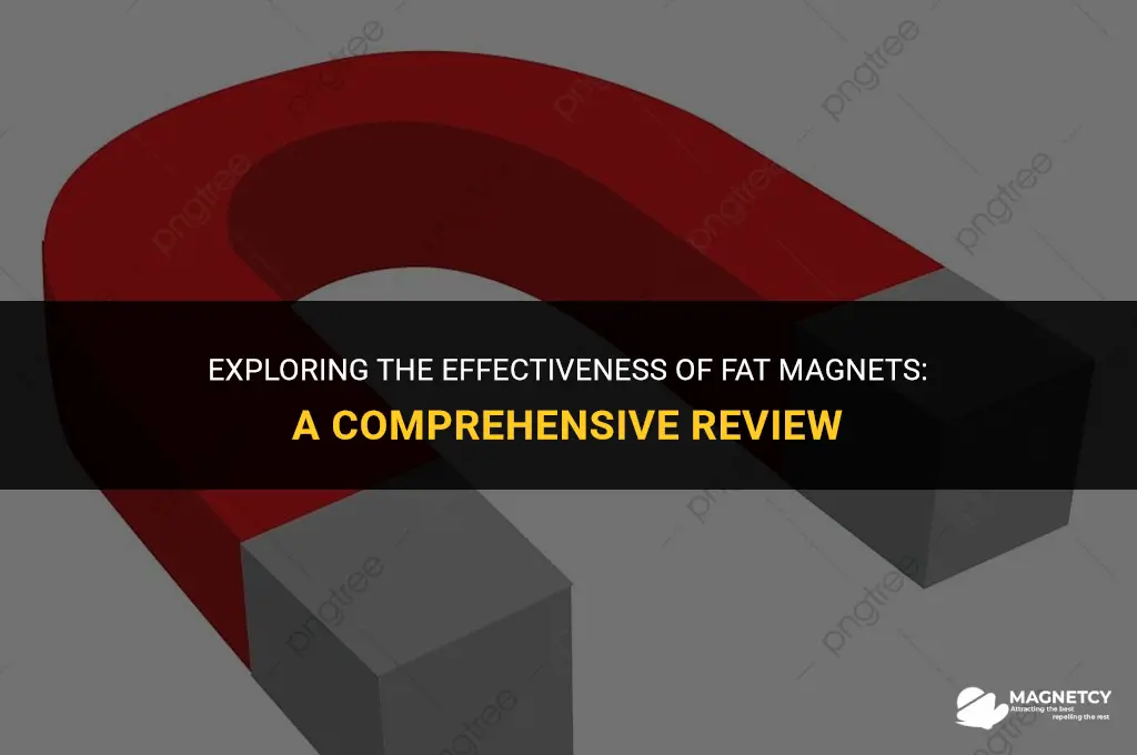 does the fat magnet work