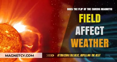 Exploring the Link: Earth's Magnetic Field Flip and Weather Patterns