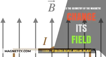 Exploring the Dynamic Relationship Between Magnetic Geometry and Field Strength