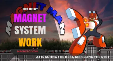 Unveiling the Truth: Does the Guy Magnet System Really Work?