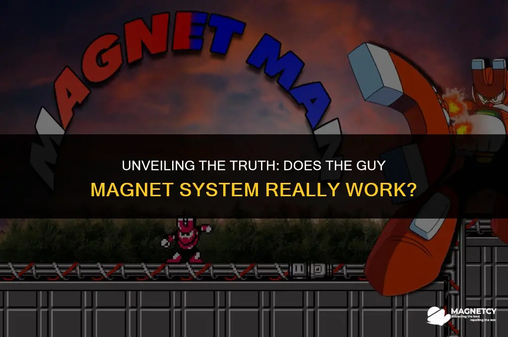 does the guy magnet system work