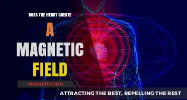Exploring the Heart's Magnetic Field: Science or Myth?