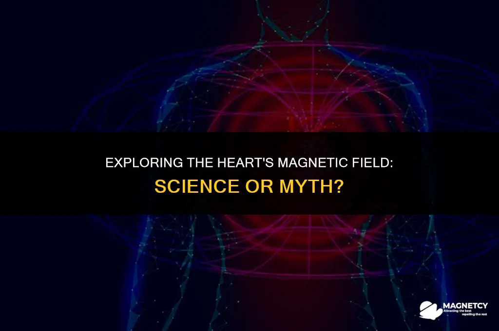 does the heart create a magnetic field