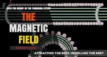 Exploring the Impact of Toroidal Height on Magnetic Fields