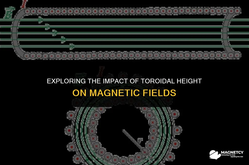 does the height of the torrodial effect the magnetic field