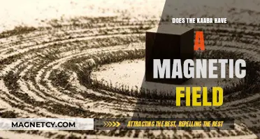 Exploring the Kaaba's Mystique: Unveiling Its Magnetic Field Secrets