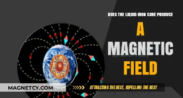 Exploring Earth's Dynamo: The Liquid Iron Core's Magnetic Field Mystery