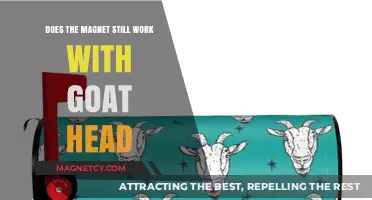 Exploring Magnetism: Does It Still Work with a Goat Head?