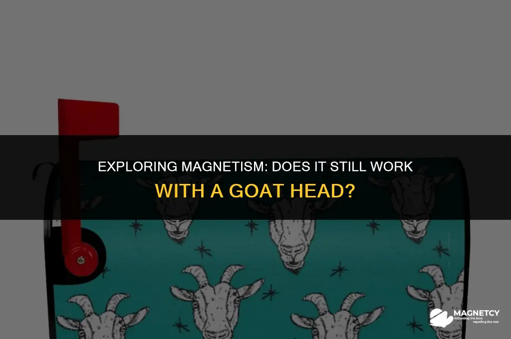 does the magnet still work with goat head