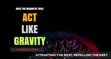 Exploring the Intriguing Parallels Between Magnetic Fields and Gravity