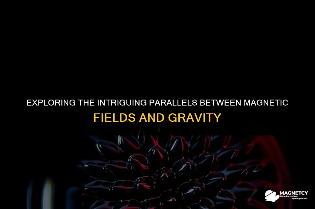 does the magnetic field act like gravity