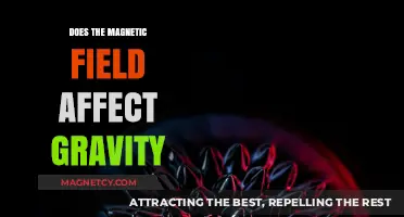 Exploring the Intriguing Relationship Between Magnetic Fields and Gravity