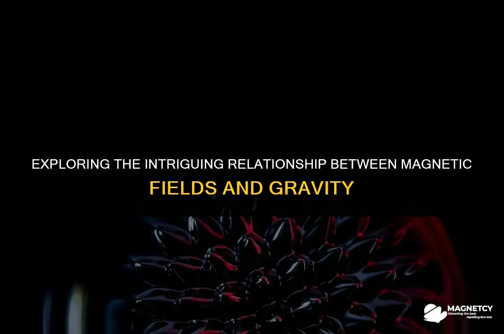 does the magnetic field affect gravity