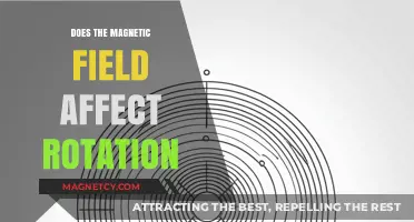 Exploring the Impact of Magnetic Fields on Rotational Dynamics