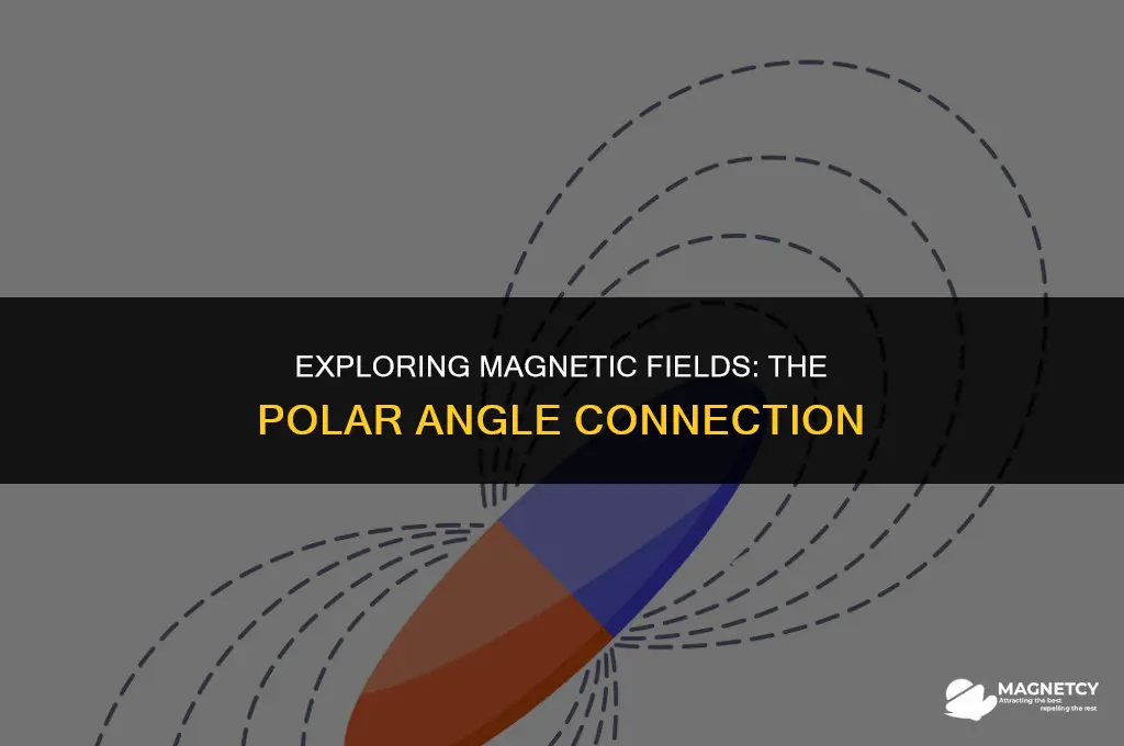 does the magnetic field depend on the polar angle